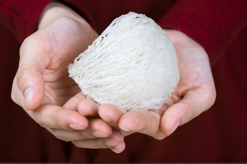 Why Edible Bird’s Nest Makes the Perfect Gift